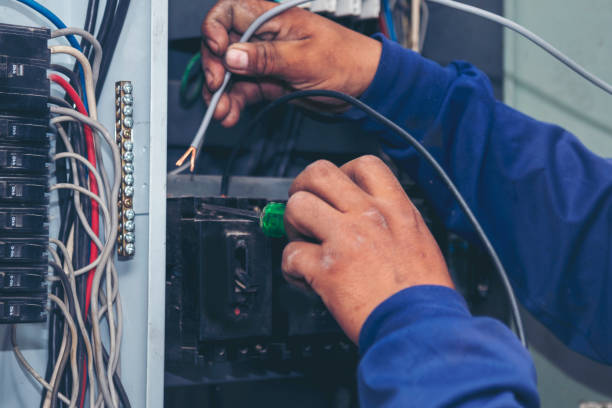 Best Electric Panel Repair  in La Mesilla, NM